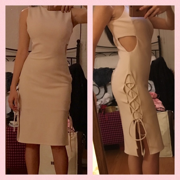 Beige/Nude Sleeveless Fitted Crepe Dress - Picture 5 of 5